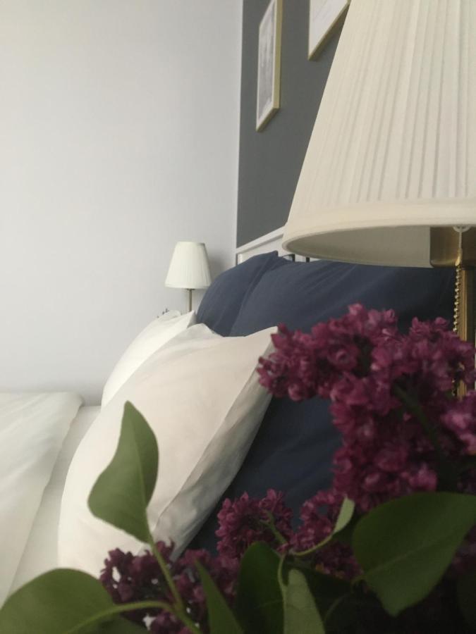 Dominique Apartment Krakow Dış mekan fotoğraf